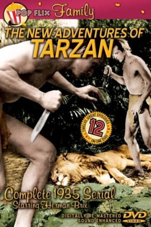 En dvd sur amazon The New Adventures of Tarzan