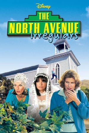 En dvd sur amazon The North Avenue Irregulars