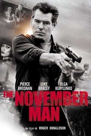 En dvd sur amazon The November Man