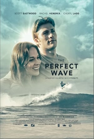 En dvd sur amazon The Perfect Wave
