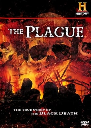 En dvd sur amazon The Plague