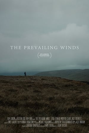 En dvd sur amazon The Prevailing Winds