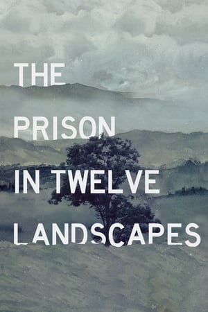 En dvd sur amazon The Prison in Twelve Landscapes