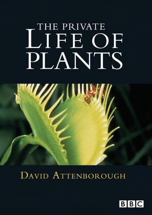 En dvd sur amazon The Private Life of Plants