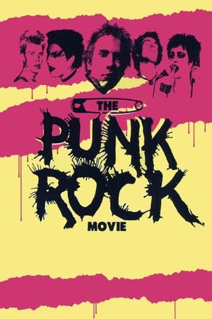 En dvd sur amazon The Punk Rock Movie