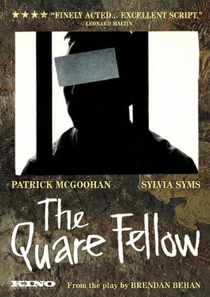 En dvd sur amazon The Quare Fellow