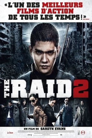 En dvd sur amazon The Raid 2: Berandal