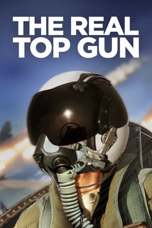 En dvd sur amazon The Real Top Gun
