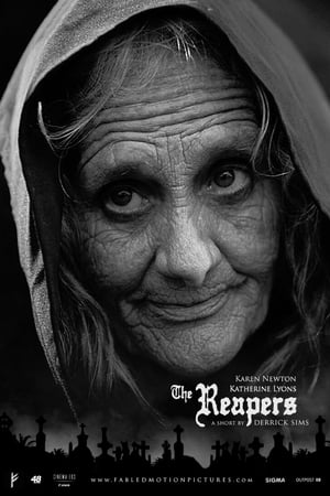 En dvd sur amazon The Reapers