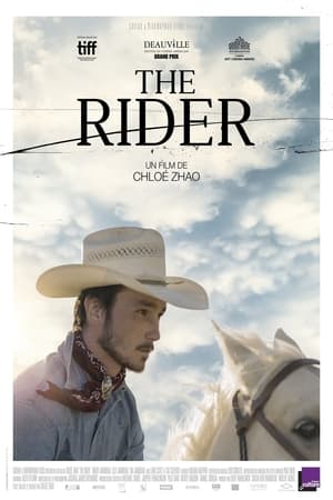 En dvd sur amazon The Rider