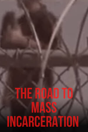 En dvd sur amazon The Road to Mass Incarceration