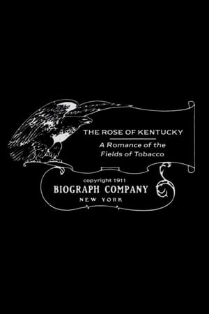 En dvd sur amazon The Rose of Kentucky