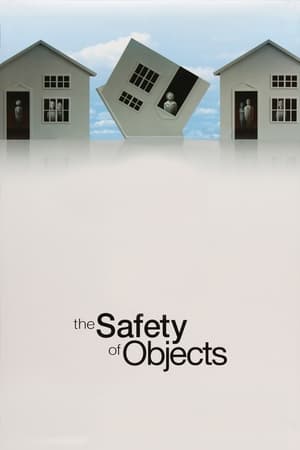 En dvd sur amazon The Safety of Objects