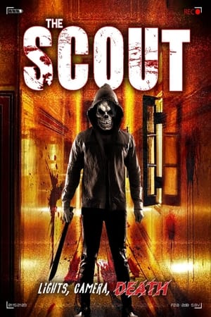 En dvd sur amazon The Scout