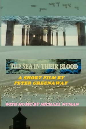 En dvd sur amazon The Sea in Their Blood