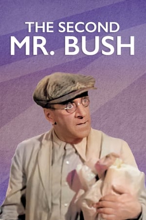 En dvd sur amazon The Second Mr. Bush