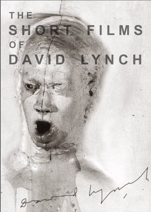 En dvd sur amazon The Short Films of David Lynch