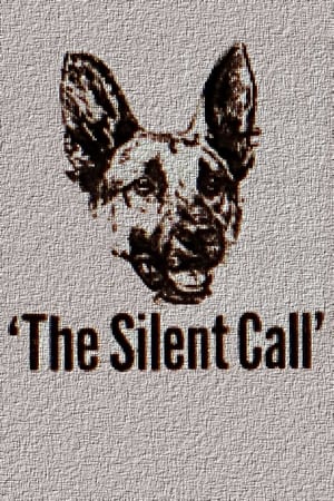 En dvd sur amazon The Silent Call