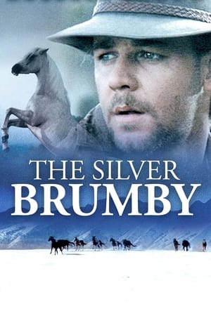 En dvd sur amazon The Silver Brumby