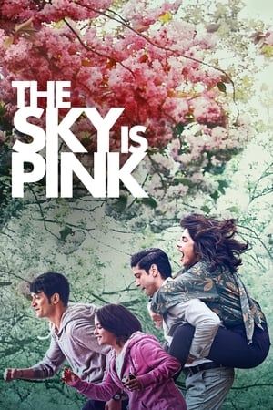 En dvd sur amazon The Sky Is Pink