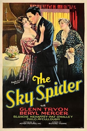 En dvd sur amazon The Sky Spider