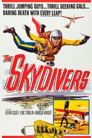 En dvd sur amazon The Skydivers