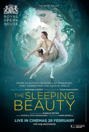 En dvd sur amazon The Sleeping Beauty