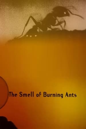 En dvd sur amazon The Smell of Burning Ants