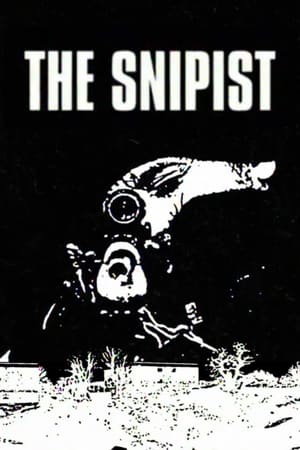 En dvd sur amazon The Snipist