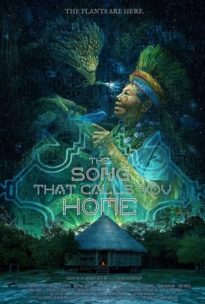 En dvd sur amazon The Song That Calls You Home