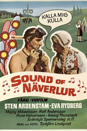 En dvd sur amazon The Sound of Näverlur