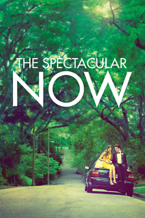 En dvd sur amazon The Spectacular Now