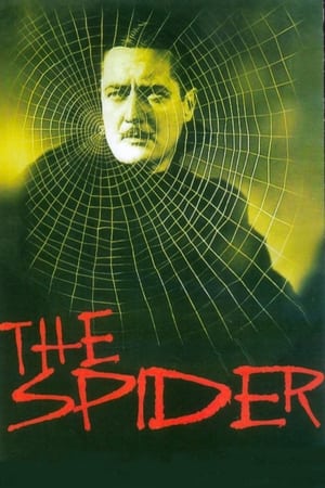 En dvd sur amazon The Spider