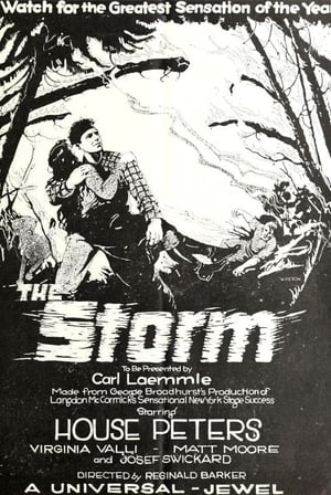 En dvd sur amazon The Storm