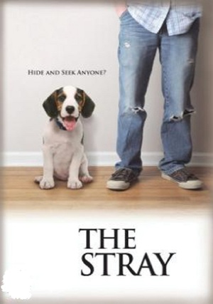 En dvd sur amazon The Stray