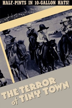 En dvd sur amazon The Terror of Tiny Town
