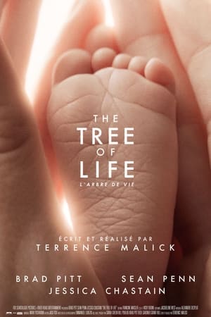 En dvd sur amazon The Tree of Life