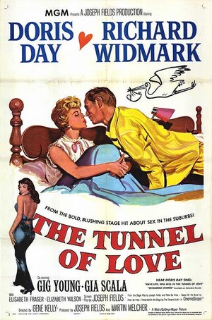 En dvd sur amazon The Tunnel of Love