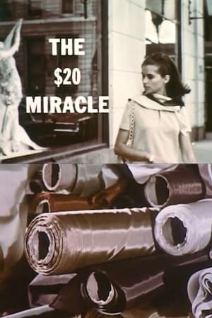 En dvd sur amazon The Twenty Dollar Miracle