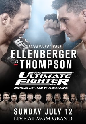 En dvd sur amazon The Ultimate Fighter 21 Finale