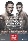 The Ultimate Fighter 22 Finale