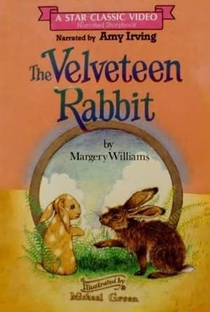 En dvd sur amazon The Velveteen Rabbit