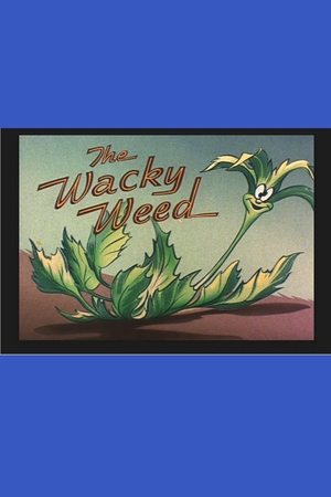 En dvd sur amazon The Wacky Weed
