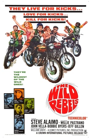 En dvd sur amazon The Wild Rebels