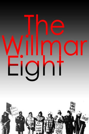 En dvd sur amazon The Willmar 8