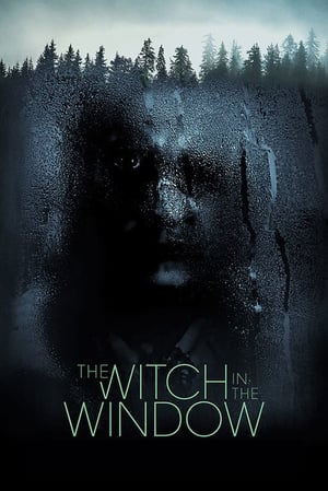 En dvd sur amazon The Witch in the Window