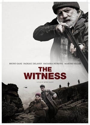 En dvd sur amazon The Witness