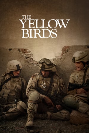 En dvd sur amazon The Yellow Birds