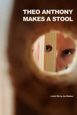 En dvd sur amazon Theo Anthony Makes a Stool