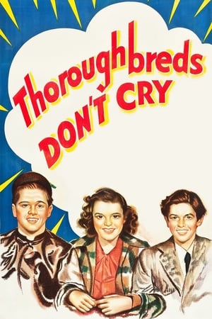En dvd sur amazon Thoroughbreds Don't Cry